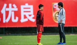 国家队队员爆料新闻最新,备战世界杯背后的故事与挑战