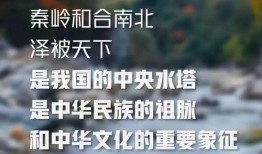 西安早安爆料事件最新,真相揭秘，网络舆论漩涡中的法律与道德边界